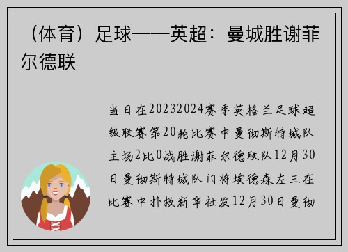 （体育）足球——英超：曼城胜谢菲尔德联